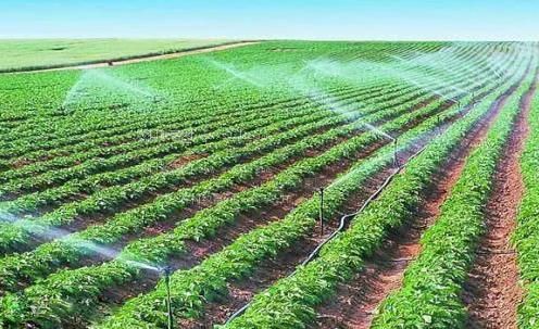 欧美美女屌屄农田高 效节水灌溉